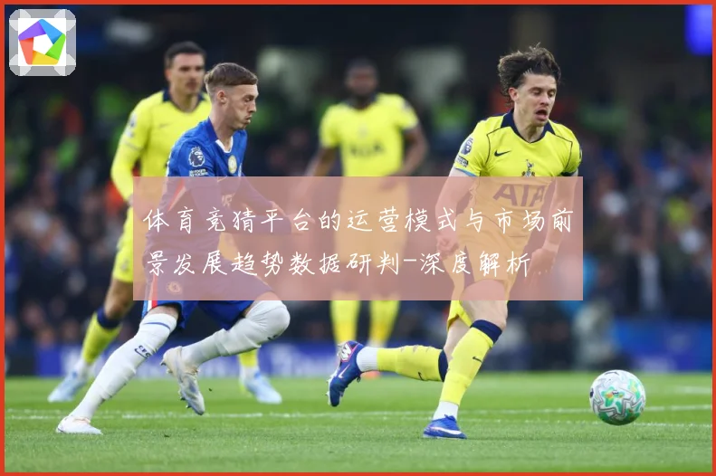 体育竞猜平台的运营模式与市场前景发展趋势数据研判-深度解析