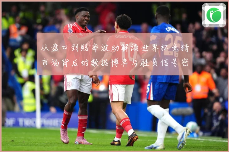 从盘口到赔率波动解读世界杯竞猜市场背后的数据博弈与胜负信号密数据研判-深度解析