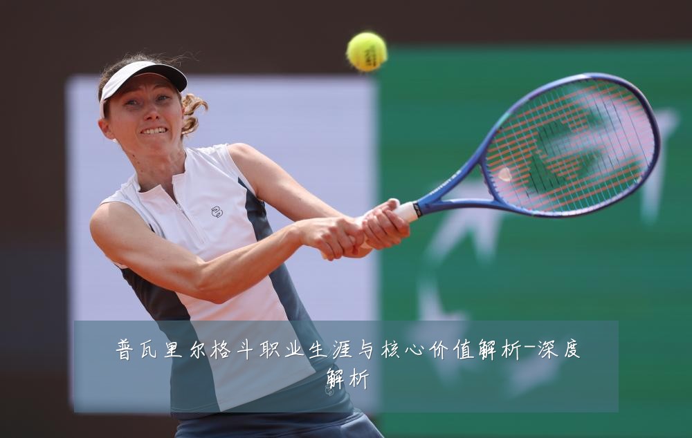 普瓦里尔格斗职业生涯与核心价值解析-深度解析