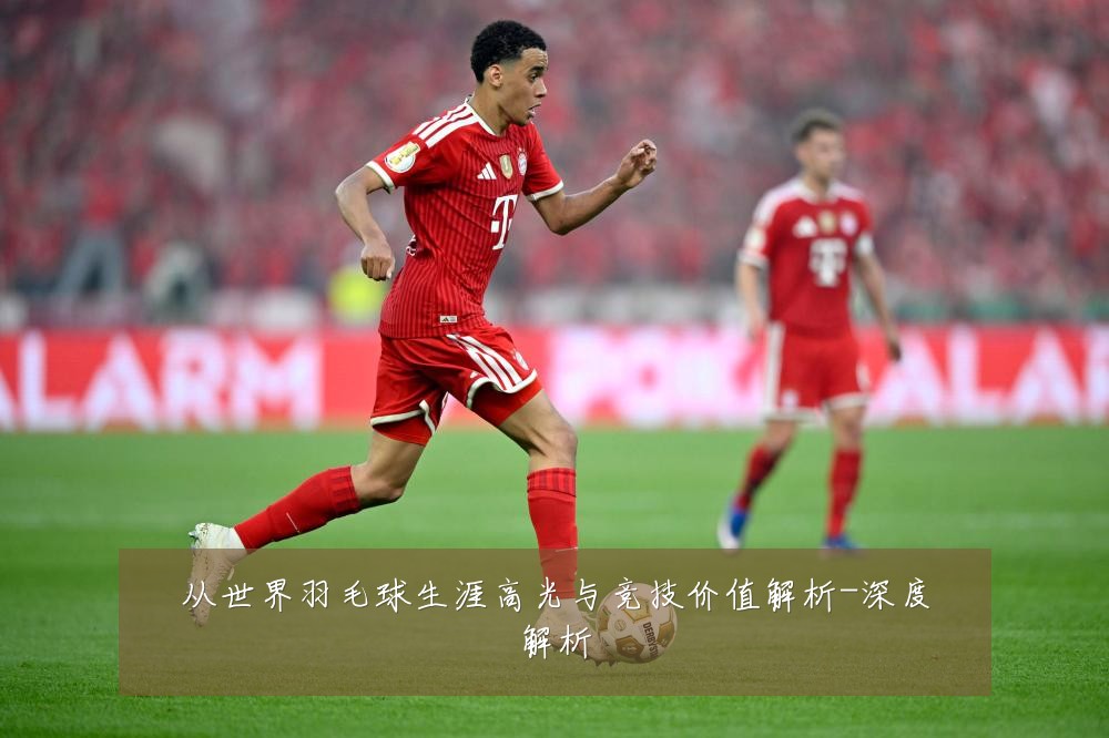 从世界羽毛球生涯高光与竞技价值解析-深度解析